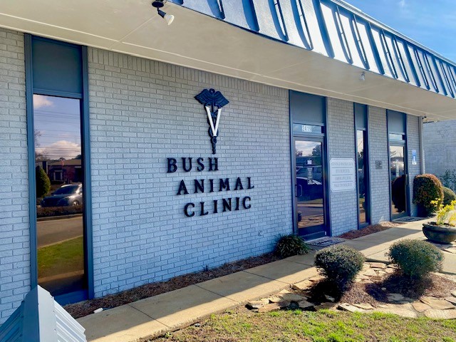 Veterinarian in Albany, GA | Bush Animal Clinic | Bush Animal Clinic